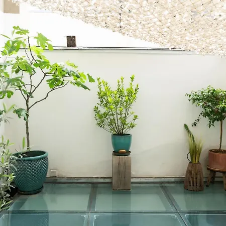 Duplex With Terrace In The Heart Of